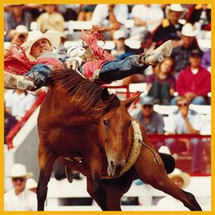 Herman_Wayne_ProRodeoHallOfFame_Inductee