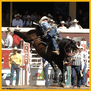 G-65-Grated-Coconut-_ProRodeoHallOfFame_Inductee.jpg