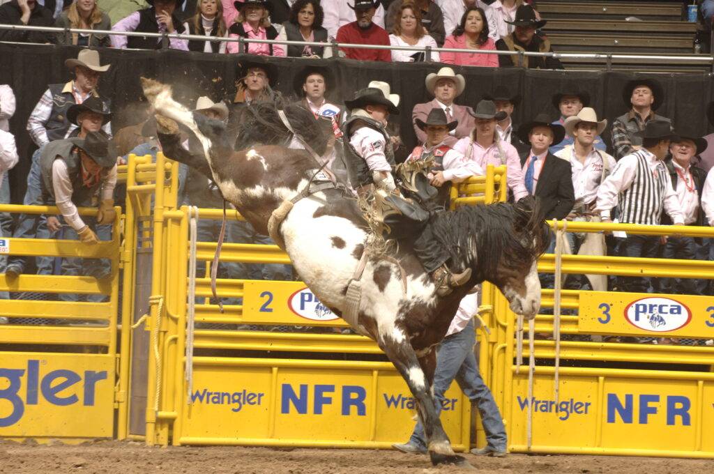 Wes Stevenson, Copeman, NFR 05 8-3370